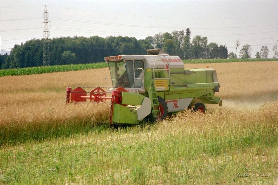 Claas Drescher 31